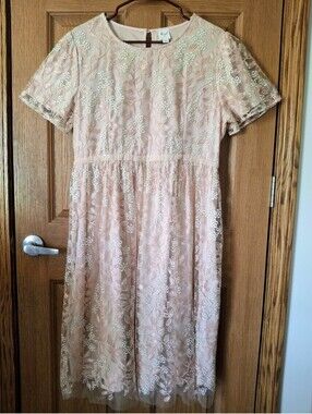 ❌️Markdown! Beryl Boutique Ballet-Pink Floral Embroidered Lace Dress